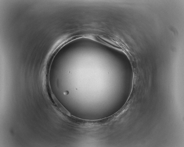 X0000116670101201001041137