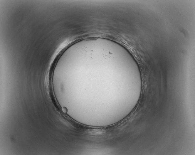 X0000116670102201001041137