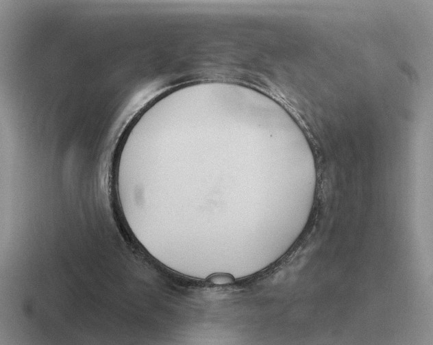 X0000116670103201001041137