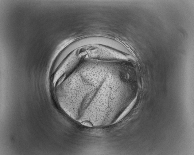 X0000116670104201001041137