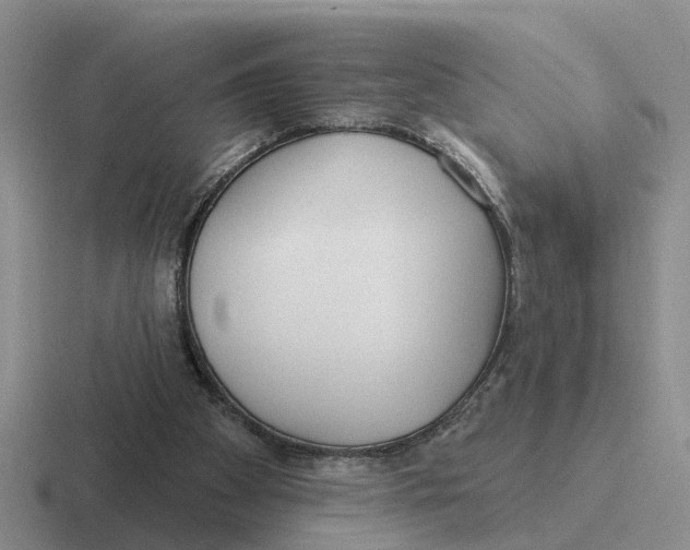 X0000116670105201001041137