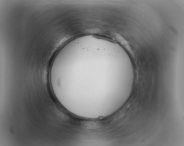 X0000116670106201001041137