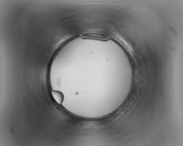 X0000116670107201001041137