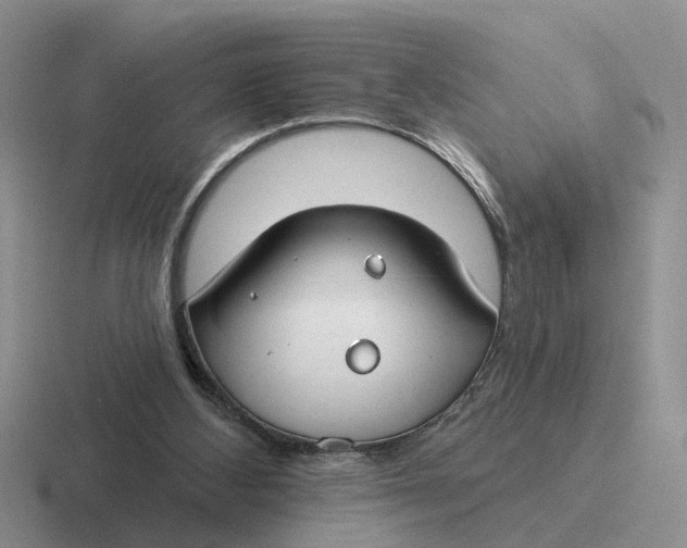 X0000116670108201001041137