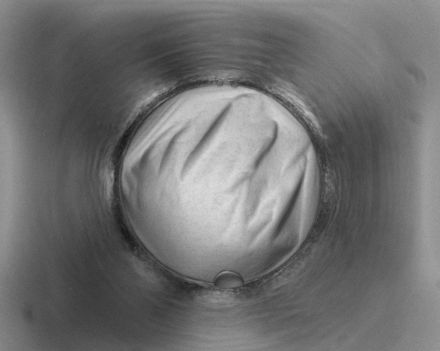 X0000116670110201001041137