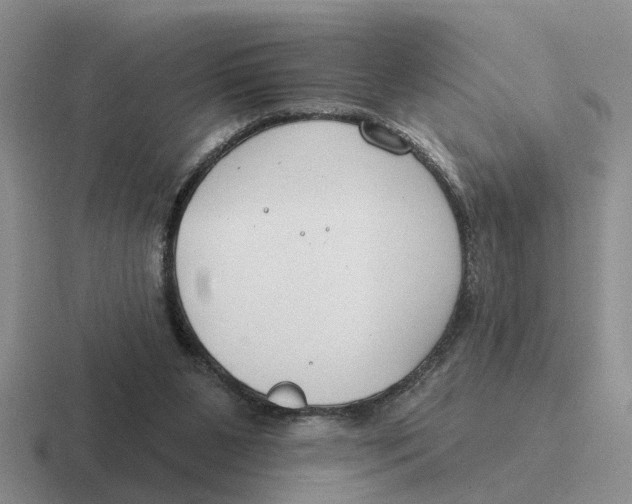 X0000116670111201001041137