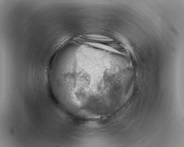 X0000116670114201001041137