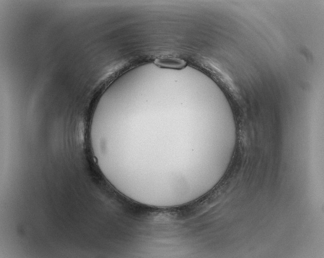 X0000116670115201001041137