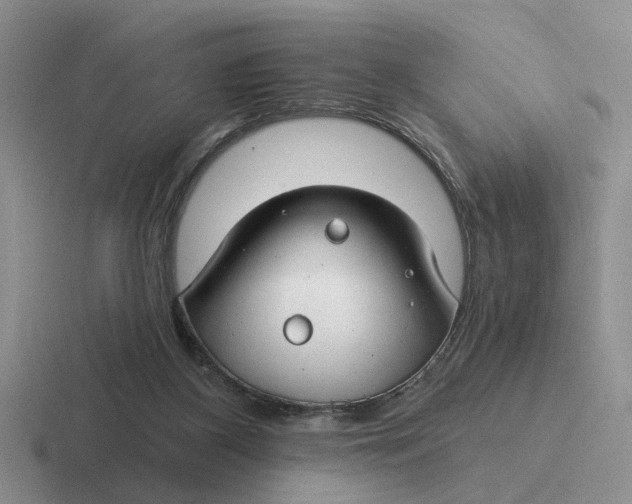 X0000116670116201001041137