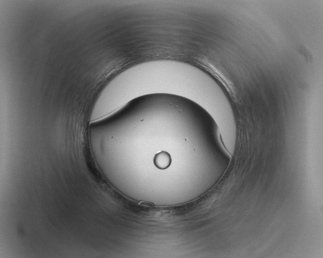 X0000116670117201001041137