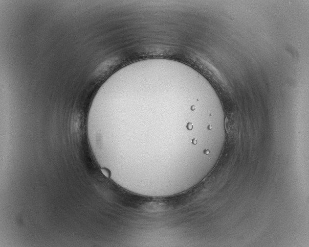 X0000116670119201001041137