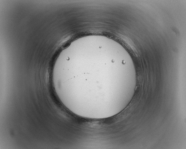 X0000116670120201001041137