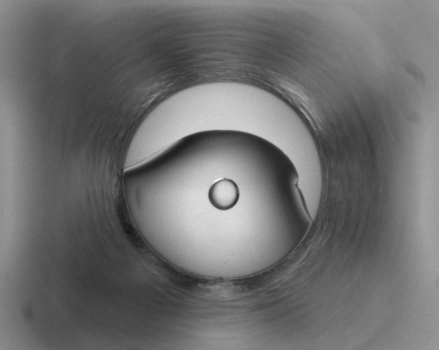 X0000116670121201001041137