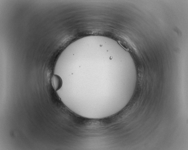 X0000116670123201001041137