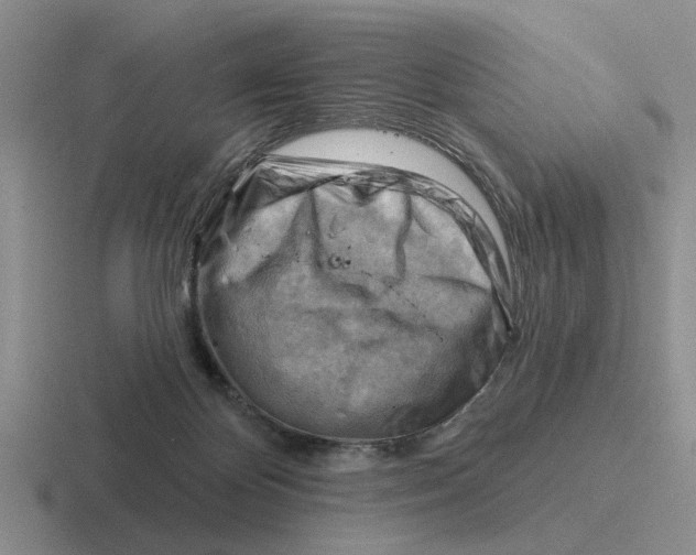 X0000116670124201001041137