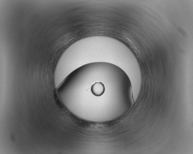 X0000116670125201001041137