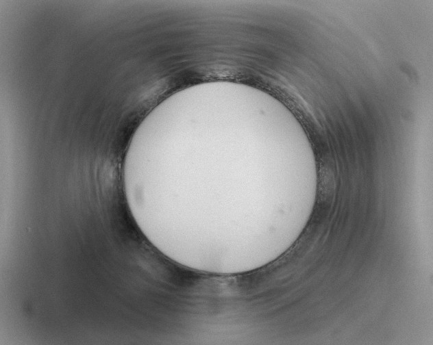 X0000116670126201001041137