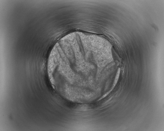 X0000116670127201001041137