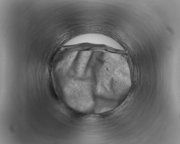 X0000116670128201001041137