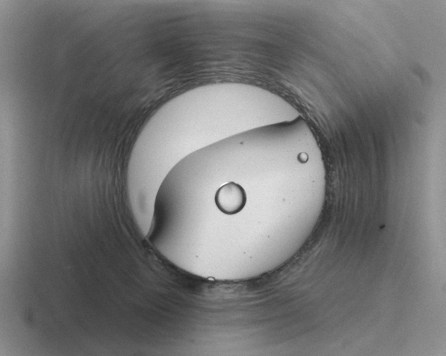 X0000116670129201001041137