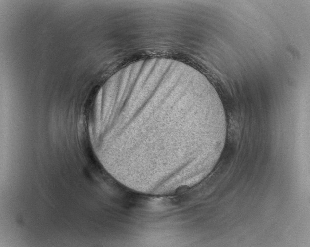 X0000116670130201001041137