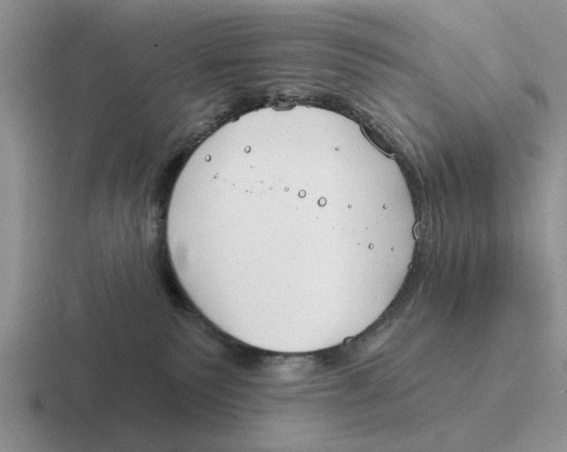 X0000116670135201001041137