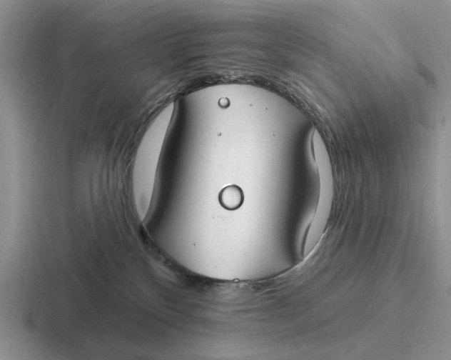 X0000116670136201001041137