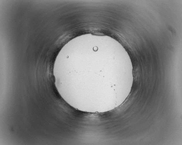 X0000116670140201001041136