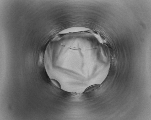 X0000116670143201001041136