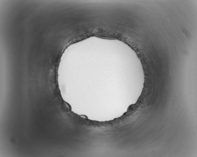 X0000116670144201001041136