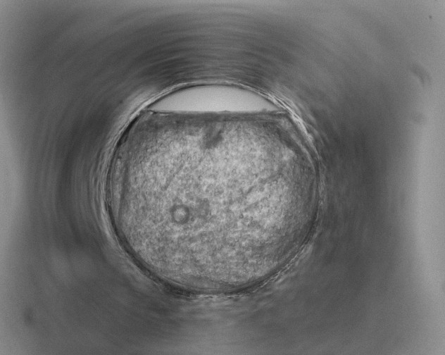 X0000116670145201001041136