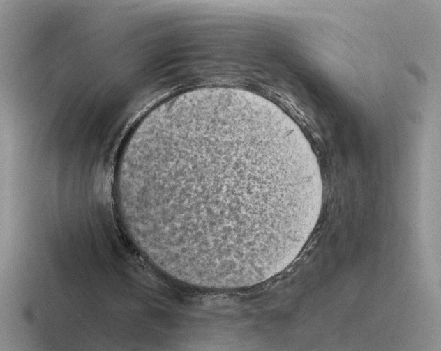 X0000116670146201001041136