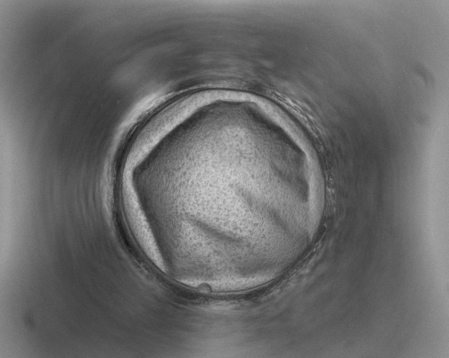 X0000116670149201001041136