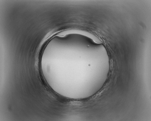 X0000116670150201001041136