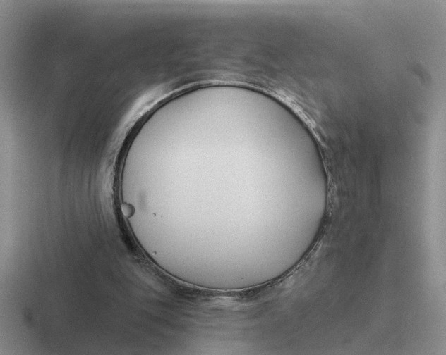 X0000116670151201001041136