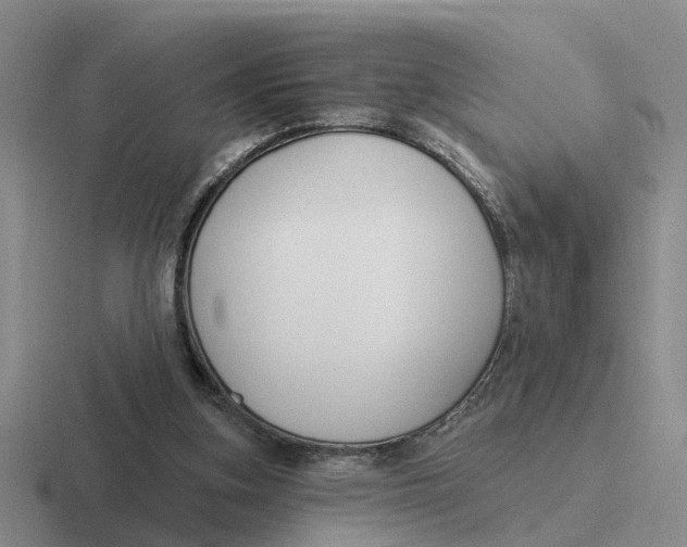 X0000116670155201001041136