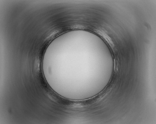 X0000116670157201001041136