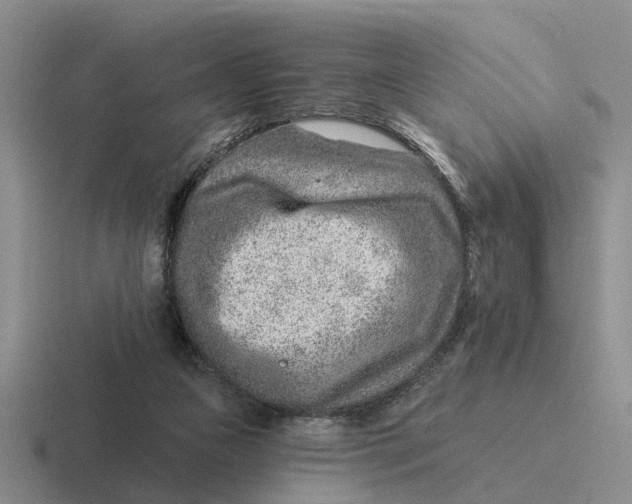 X0000116670161201001041136