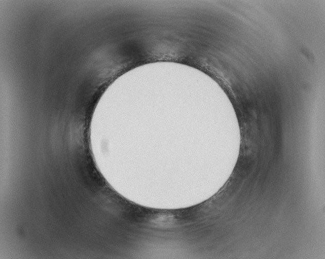 X0000116670162201001041136