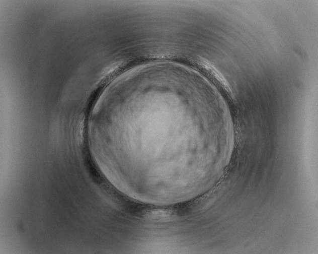 X0000116670163201001041136