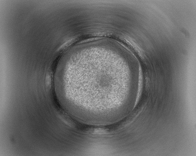 X0000116670165201001041136