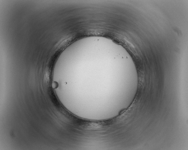 X0000116670166201001041136