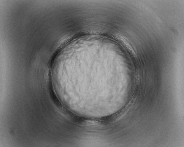 X0000116670167201001041136