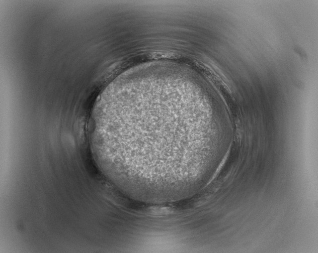 X0000116670169201001041136