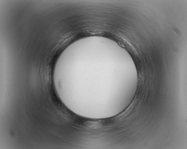 X0000116670170201001041136