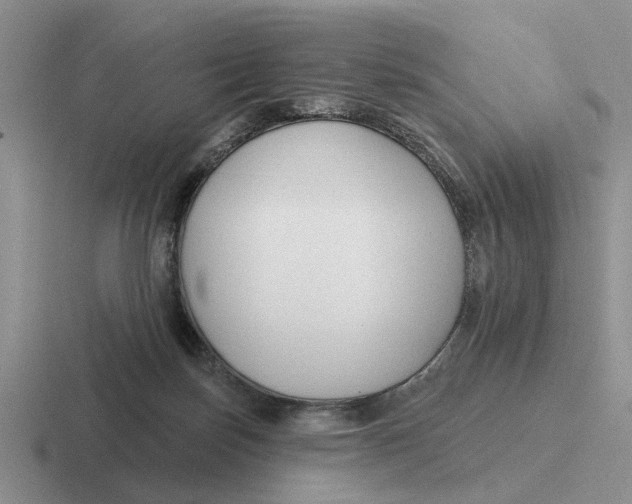 X0000116670171201001041136