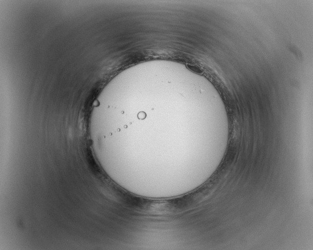 X0000116670173201001041136