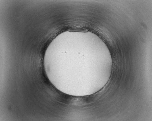 X0000116670174201001041136