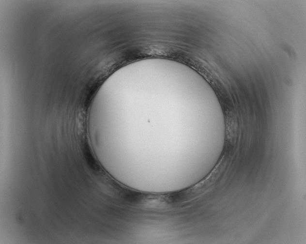 X0000116670175201001041136