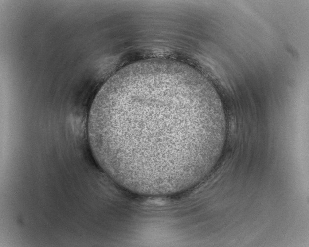 X0000116670177201001041136